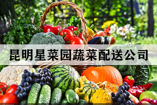 昆明星菜園蔬菜配送公司 昆明星菜園蔬菜配送公司