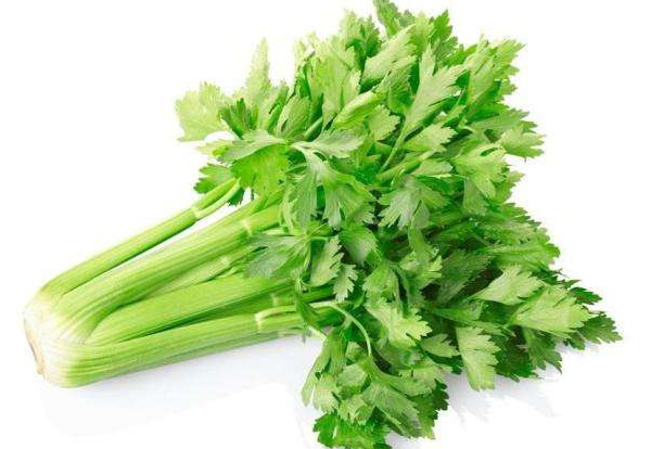 芹菜的選購
