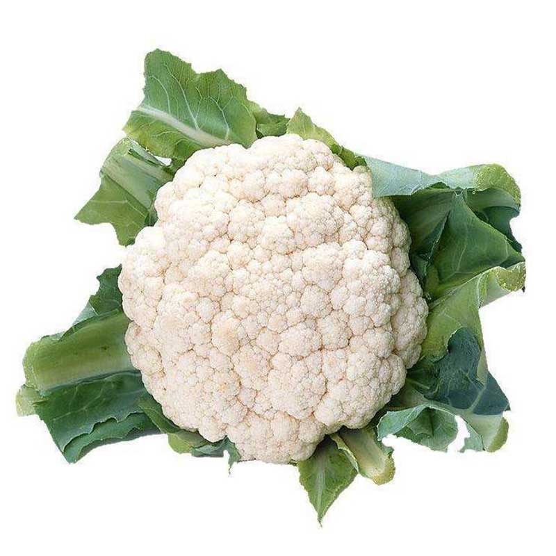 1585533094105505.jpg 28.jpg