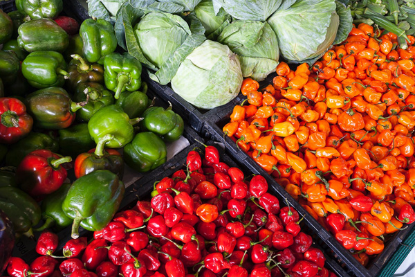 低熱量的蔬菜有哪些？