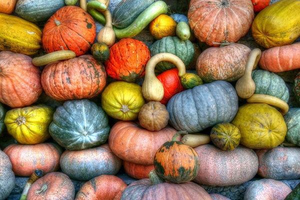 昆明生鮮配送公司哪家好？