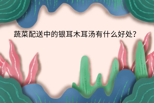 蔬菜配送中的銀耳木耳湯有什么好處？