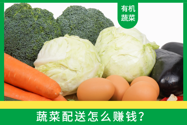 蔬菜配送怎么賺錢(qián)？