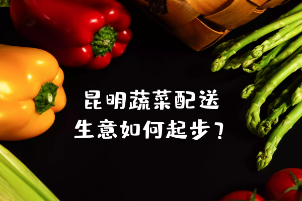 昆明蔬菜配送生意如何起步？