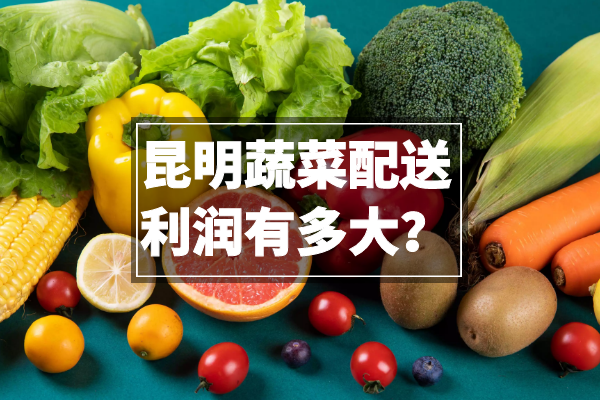 昆明蔬菜配送利潤有多大？