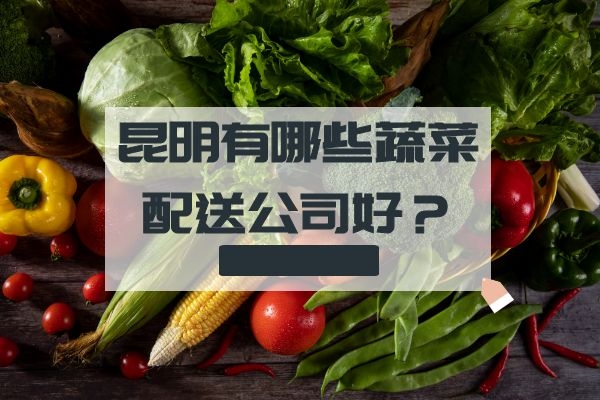 昆明有哪些蔬菜配送公司好？