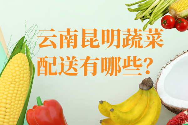 云南昆明蔬菜配送有哪些？
