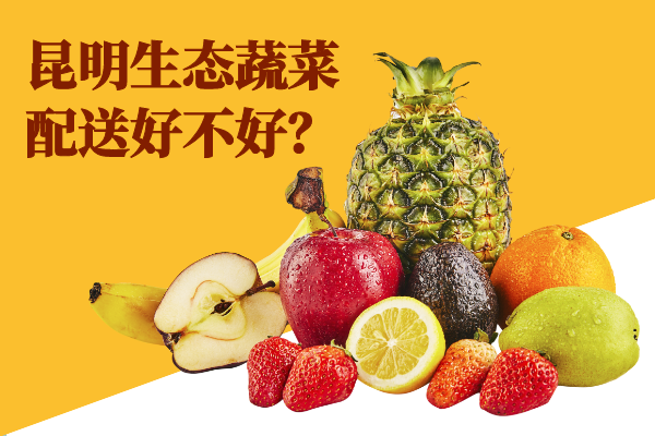 昆明生態(tài)蔬菜配送好不好？