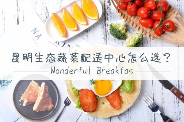 昆明生態(tài)蔬菜配送中心怎么選？