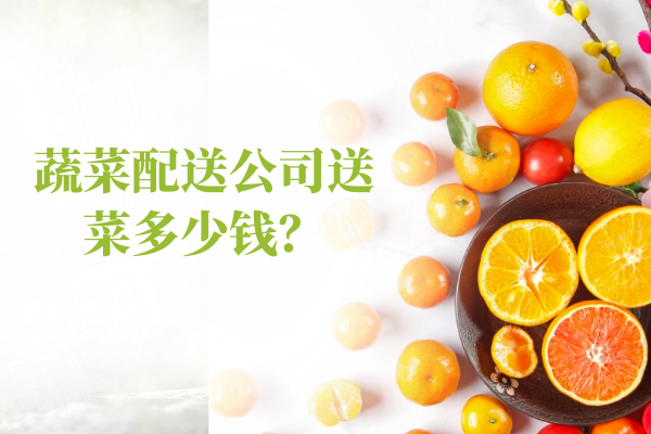 蔬菜配送公司送菜多少錢(qián)？